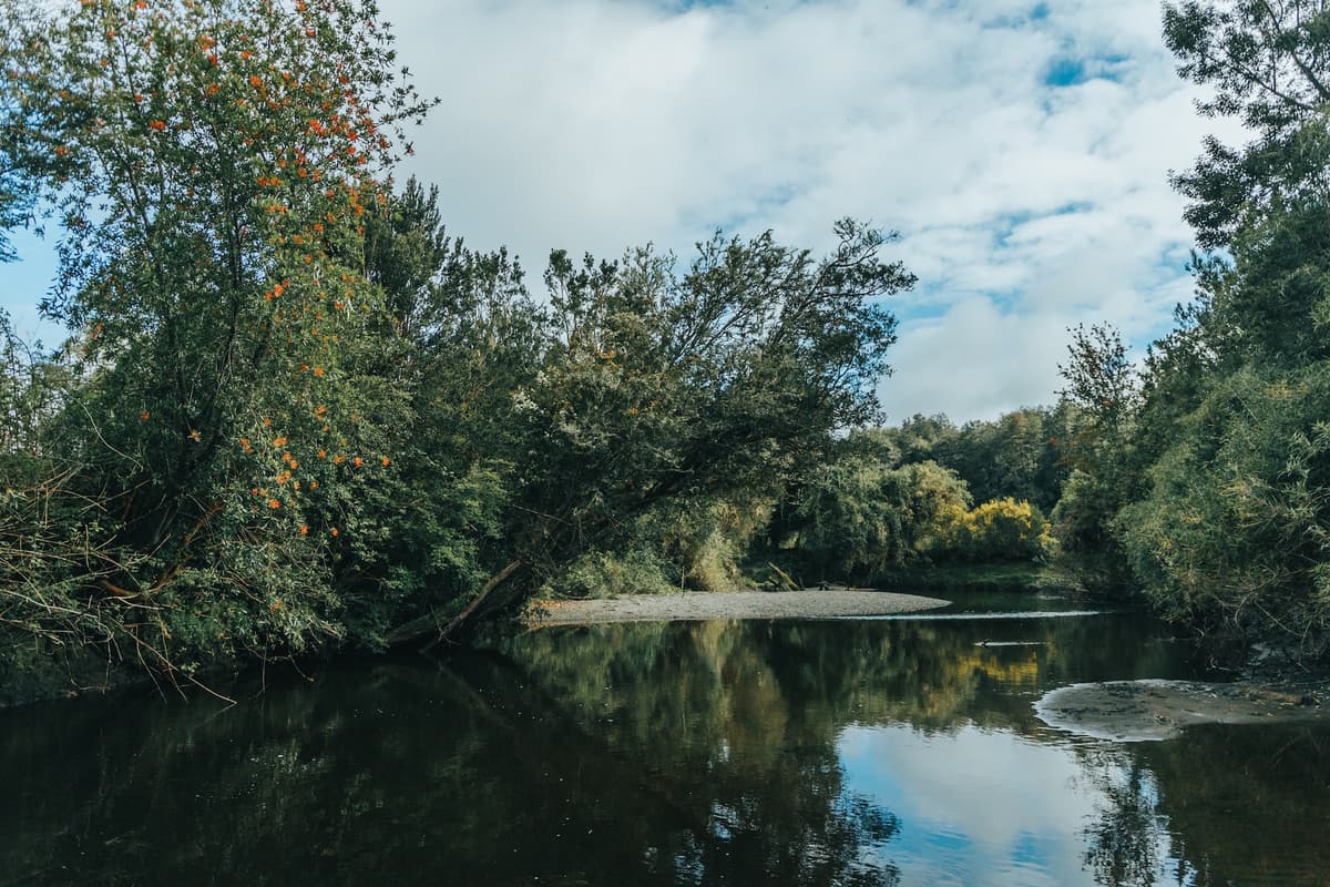 Disfruta en Butalcura River
